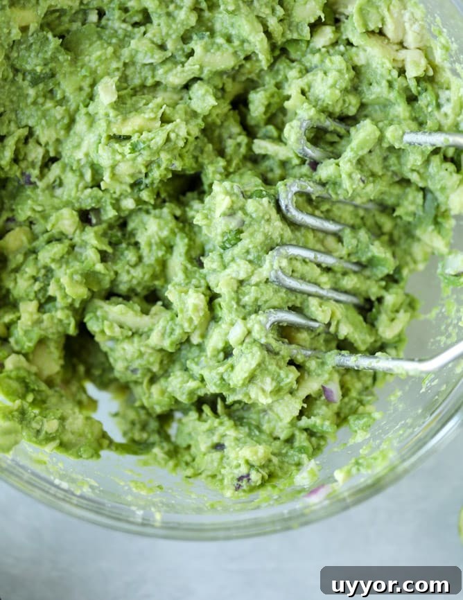 Crispy Carnitas with Creamy Guacamole Recipe 4 crispy carnitas guacamole