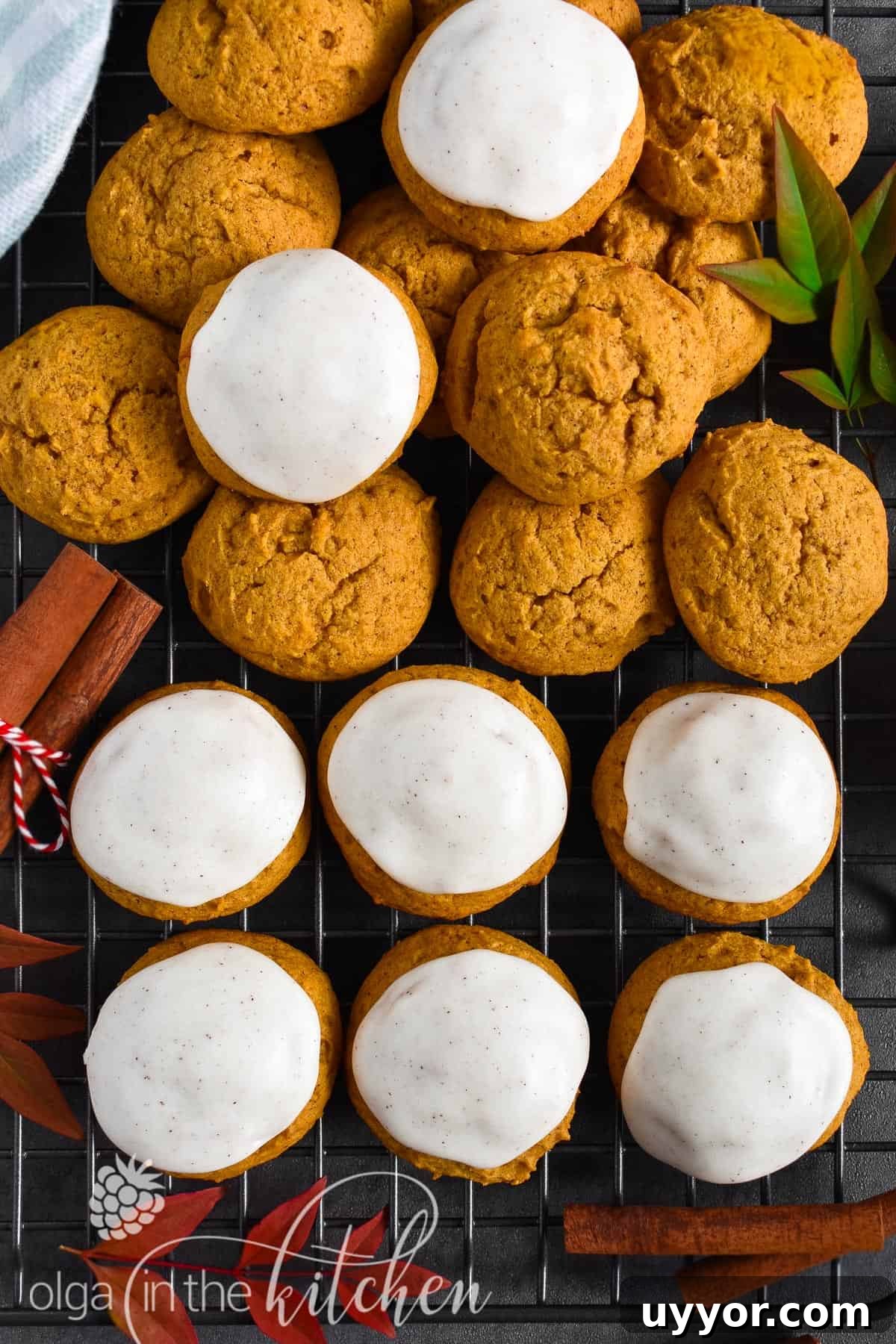 Iced Pumpkin Cookies Recipe for Perfect Fall Baking 2 Super soft and fluffy Iced Pumpkin Cookies, topped with a sweet vanilla cinnamon icing and are a must for the fall season.