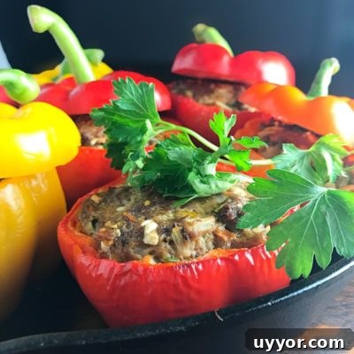 Bison Stuffed Bell Peppers