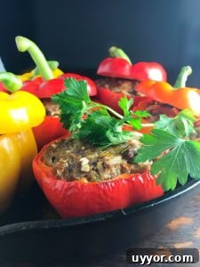 Bison Stuffed Bell Peppers