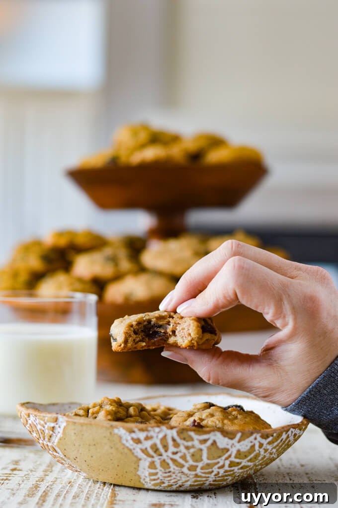 A bowl of oatmeal raisin cookies with a hand holding one with a bite out of it. A glass of milk and a bunch of cookies sit in the background.