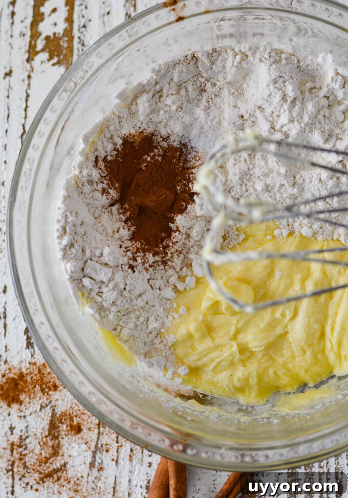 Creamed shortening, sugar and eggs are in a bowl with flour, cinnamon and salt.