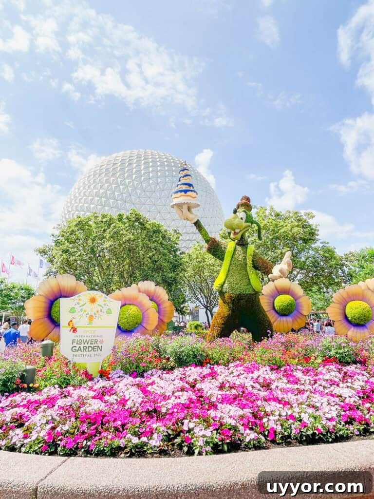 Top Tips for Navigating Epcot Festivals Like a Pro 11 Flower and Garden signage and Goofy Topiary at Epcot.