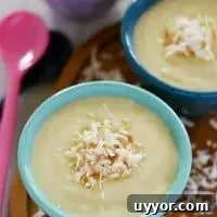 Dairy Free Coconut Custard from What The Fork Food Blog | whattheforkfoodblog.com