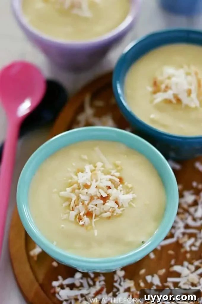 Dairy Free Coconut Custard from What The Fork Food Blog | whattheforkfoodblog.com