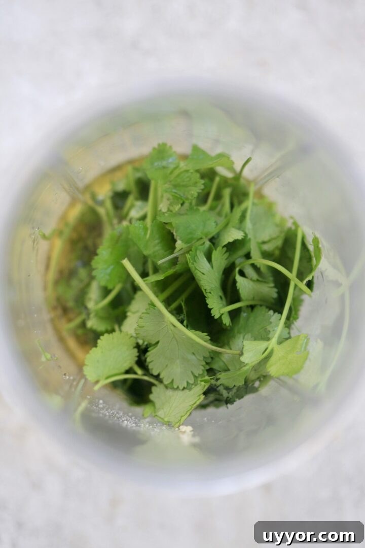 Creamy Cilantro Lime Dressing Recipe for Salads & Marinades 4 cilantro in blender jar