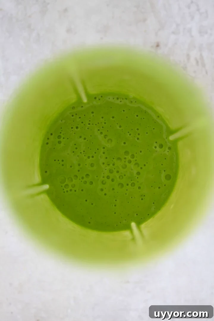 Creamy Cilantro Lime Dressing Recipe for Salads & Marinades 5 blended green dressing