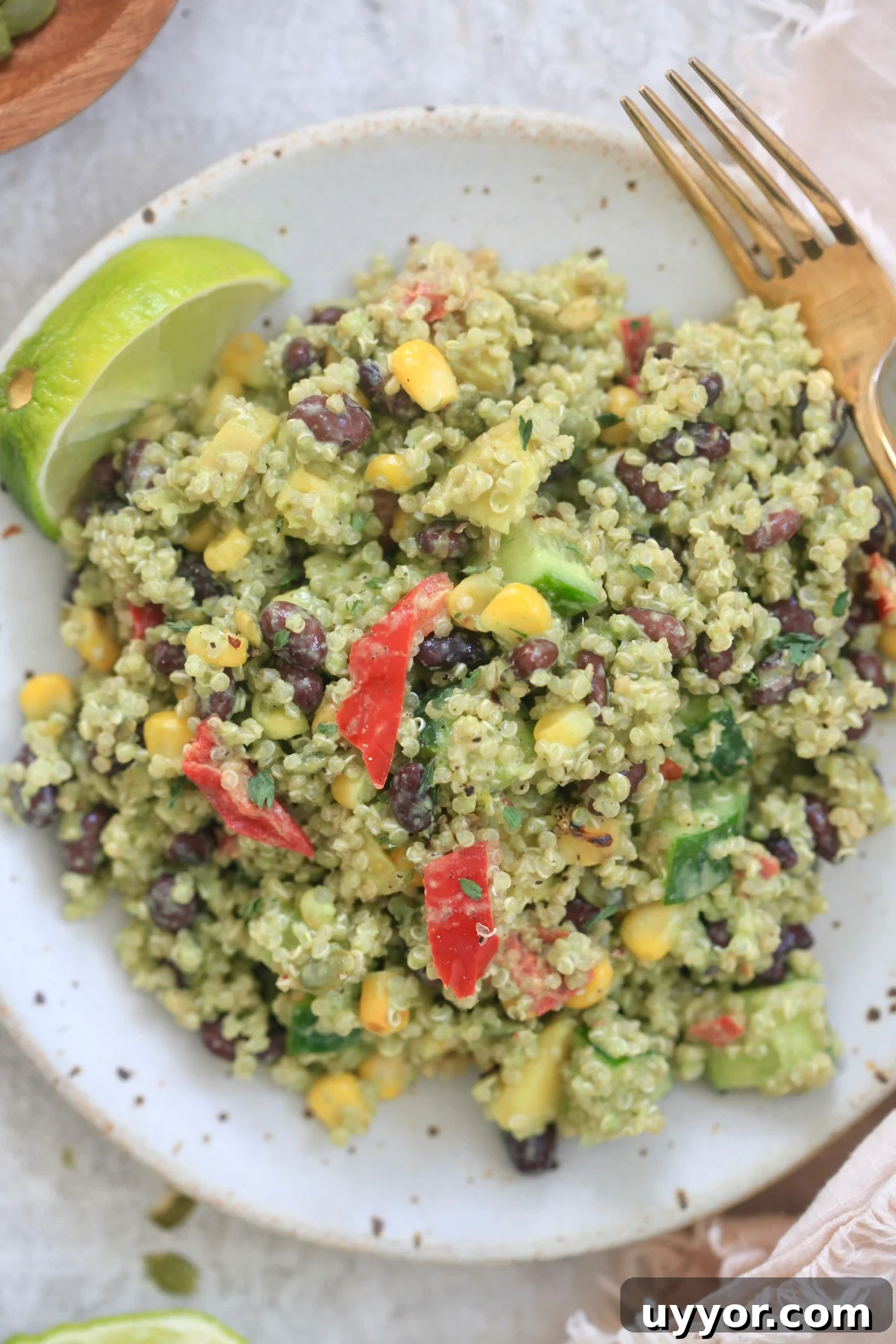 Creamy Cilantro Lime Dressing Recipe for Salads & Marinades 6 quinoa salad