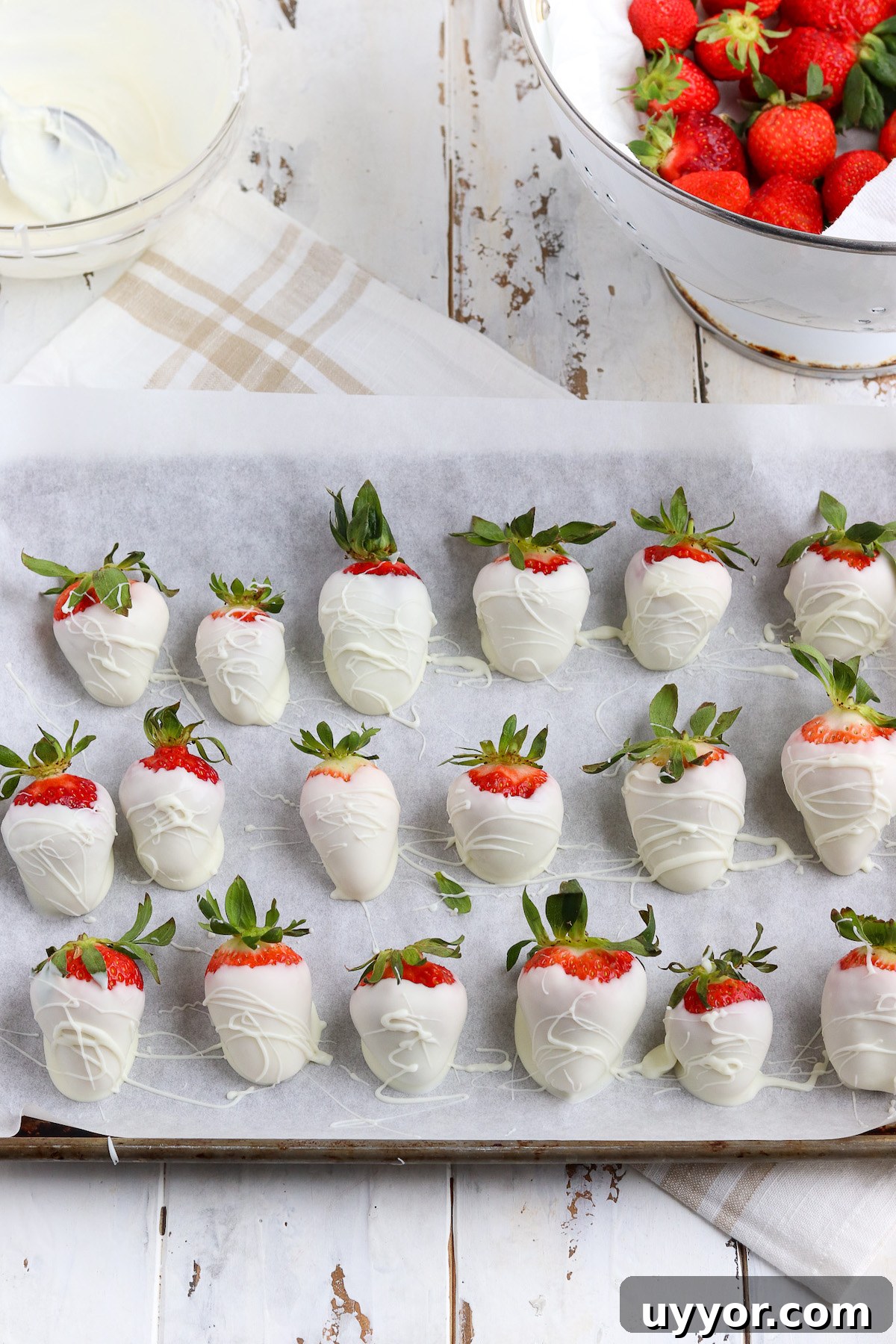 White Chocolate-Covered Strawberries: Simple Step-by-Step Recipe 6 A baking sheet of homemade white chocolate covered strawberries with a professional drizzle.