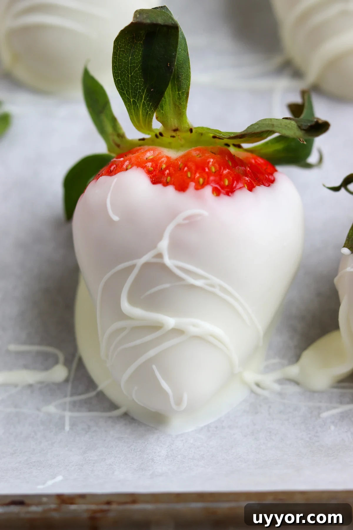 White Chocolate-Covered Strawberries: Simple Step-by-Step Recipe 9 A close-up of a large strawberry dipped in smooth white chocolate with a decorative drizzle.