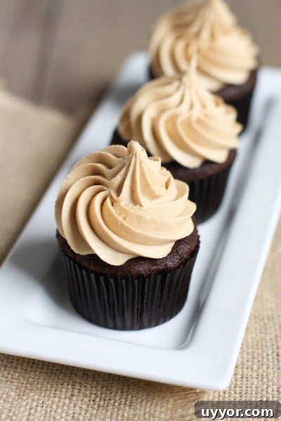 Chocolate Cupcakes Biscoff Icing
