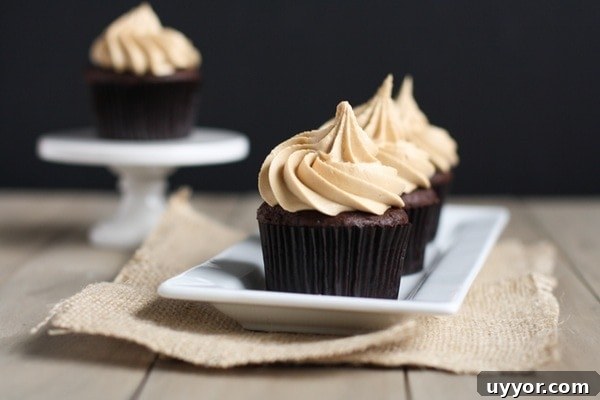 Chocolate Cupcakes with Biscoff Buttercream Icing from thelittlekitchen.net