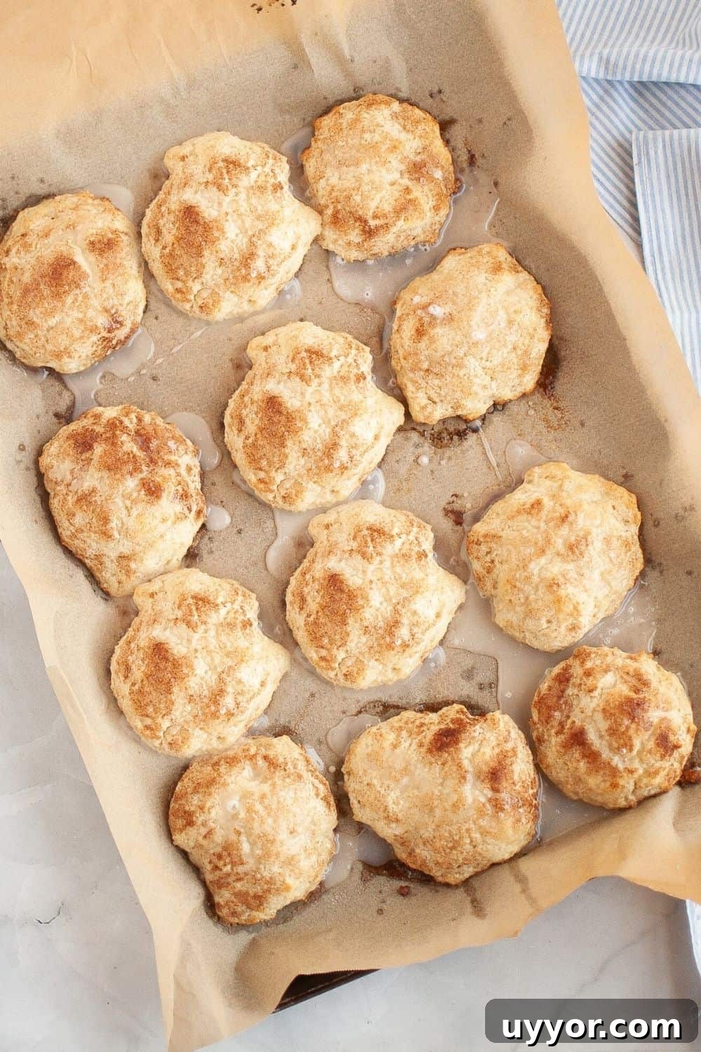 overhead view of cinnamon sugar drop biscuits with glaze, on a parchment-lined baking sheet.
