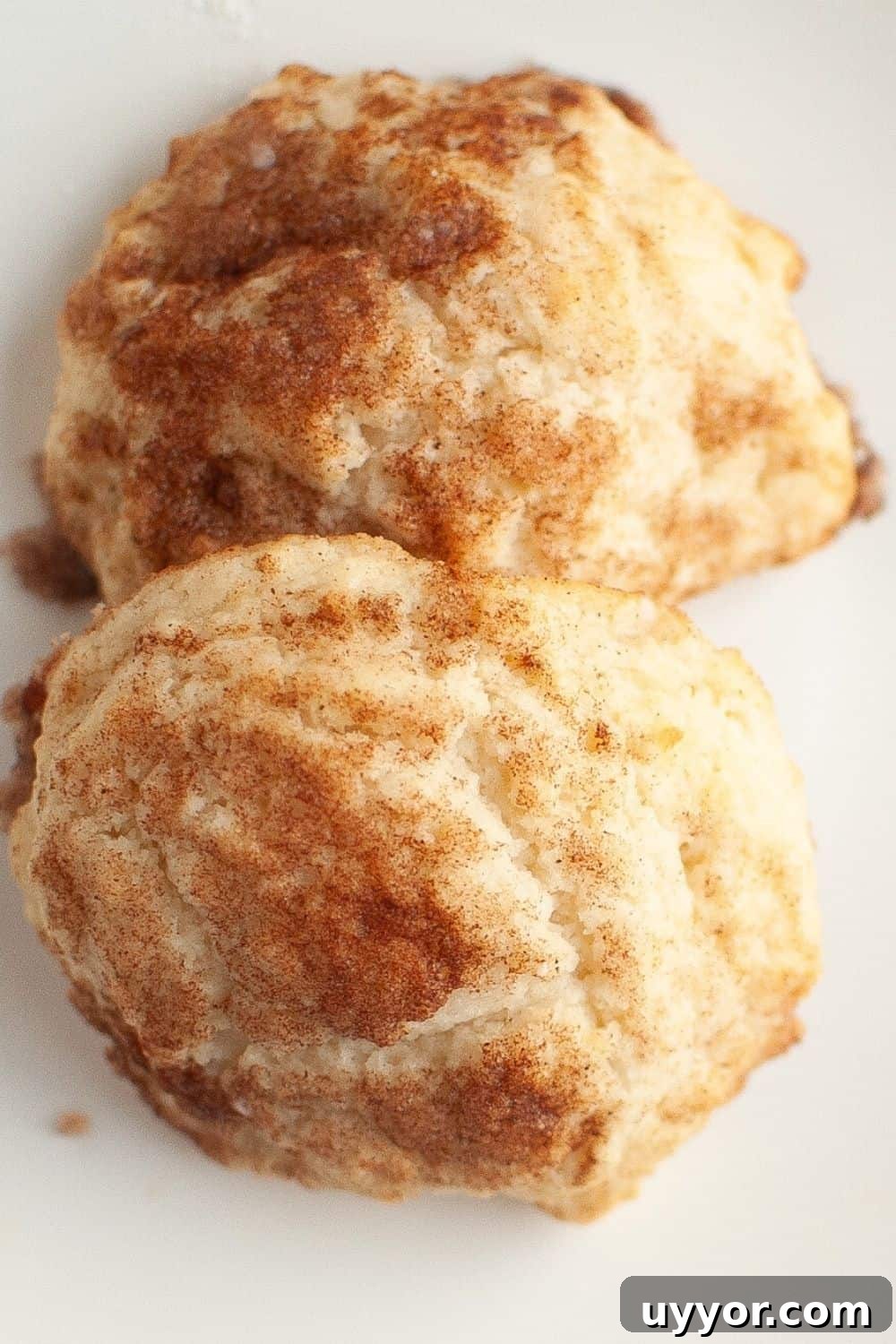 close-up view of two sweet biscuits sprinkled with cinnamon sugar.