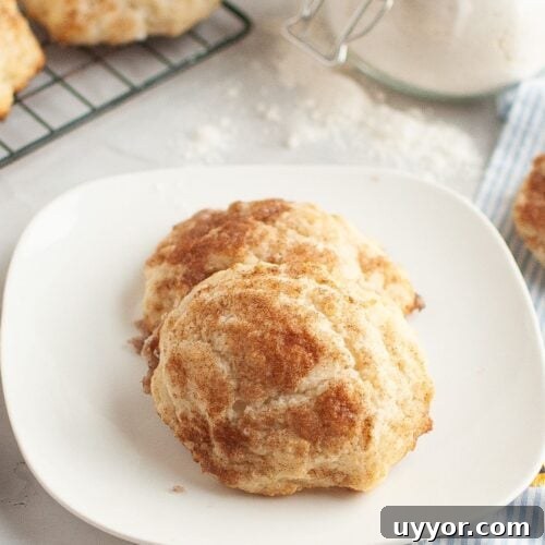 Two cinnamon sugar drop biscuits served on a white plate.