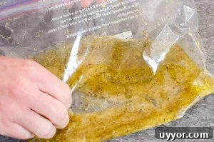 Mixing the Italian marinade together in a clear plastic sandwich bag