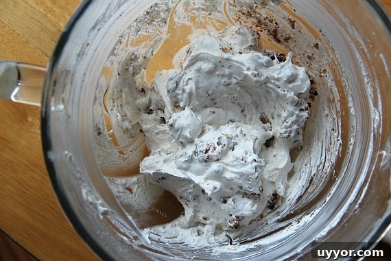 IMG_8878 Mousse scooped onto cookies