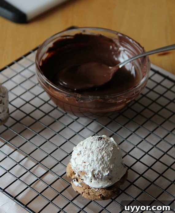 IMG_8911 Finished mousse bombs garnished with mini chips