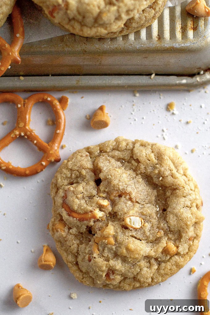 Butterscotch Pretzel Cookie Recipe: Sweet & Salty Treat 2 single butterscotch pretzel cookie sitting on the counter