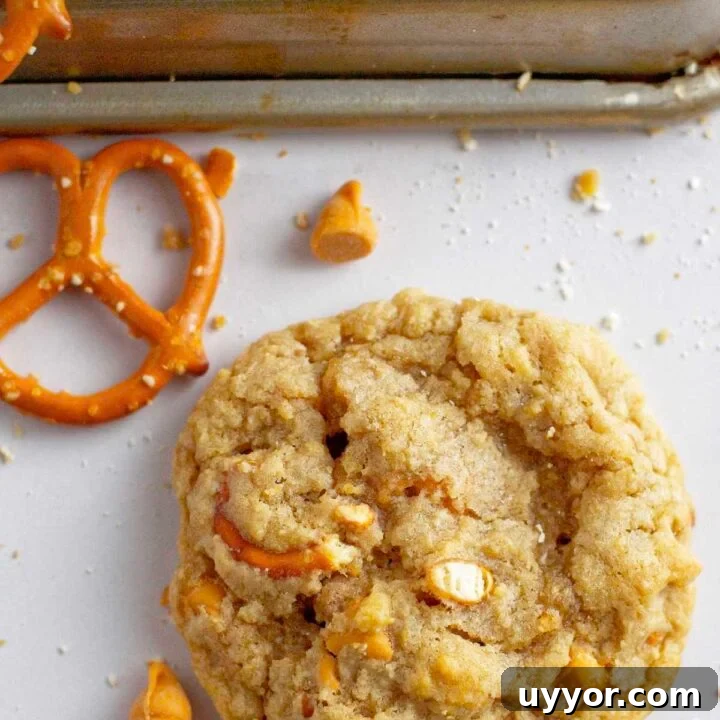 single butterscotch pretzel cookie sitting on the counter