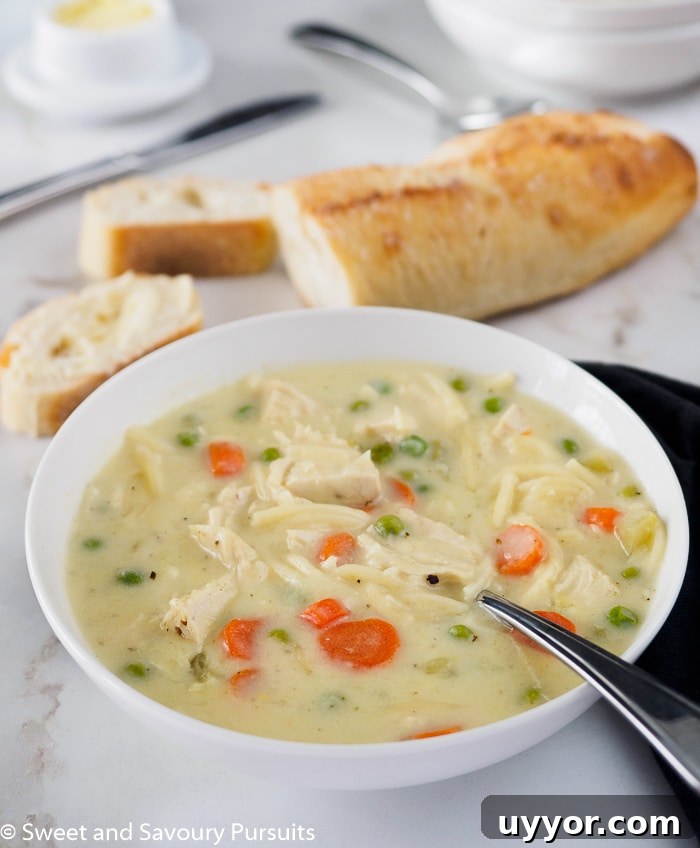 Creamy Chicken Noodle Soup with Garden Vegetables 3 A bowl of creamy chicken noodle soup served with bread.