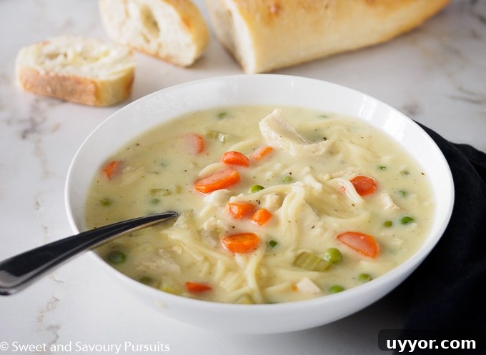 Creamy Chicken Noodle Soup with Garden Vegetables 4 Bowl of Creamy Chicken Noodle and Vegetable Soup served with sliced baguette.