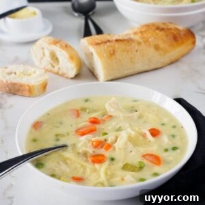 Creamy Chicken Noodle Soup with Garden Vegetables 5 Bowl of creamy chicken noodle soup.