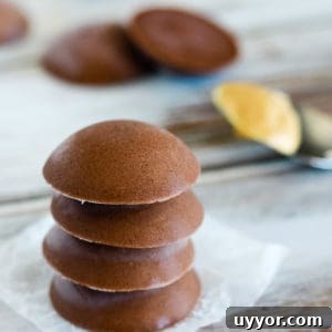 Low-Carb Chocolate Peanut Butter Fat Bombs for Keto Snacking 2 stack of chocolate peanut butter fat bombs keto
