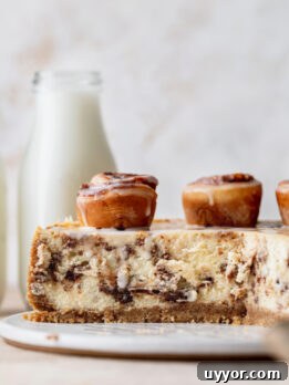 Cinnamon Roll Cheesecake Recipe: Swirled Cinnamon Cream Cheese Dessert 12 Side view of cinnamon roll cheesecake.