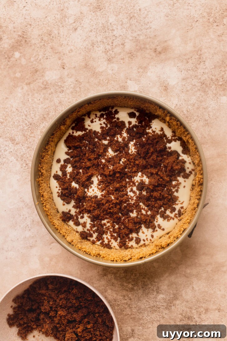 Cinnamon Roll Cheesecake Recipe: Swirled Cinnamon Cream Cheese Dessert 5 Cinnamon filling in the pan.