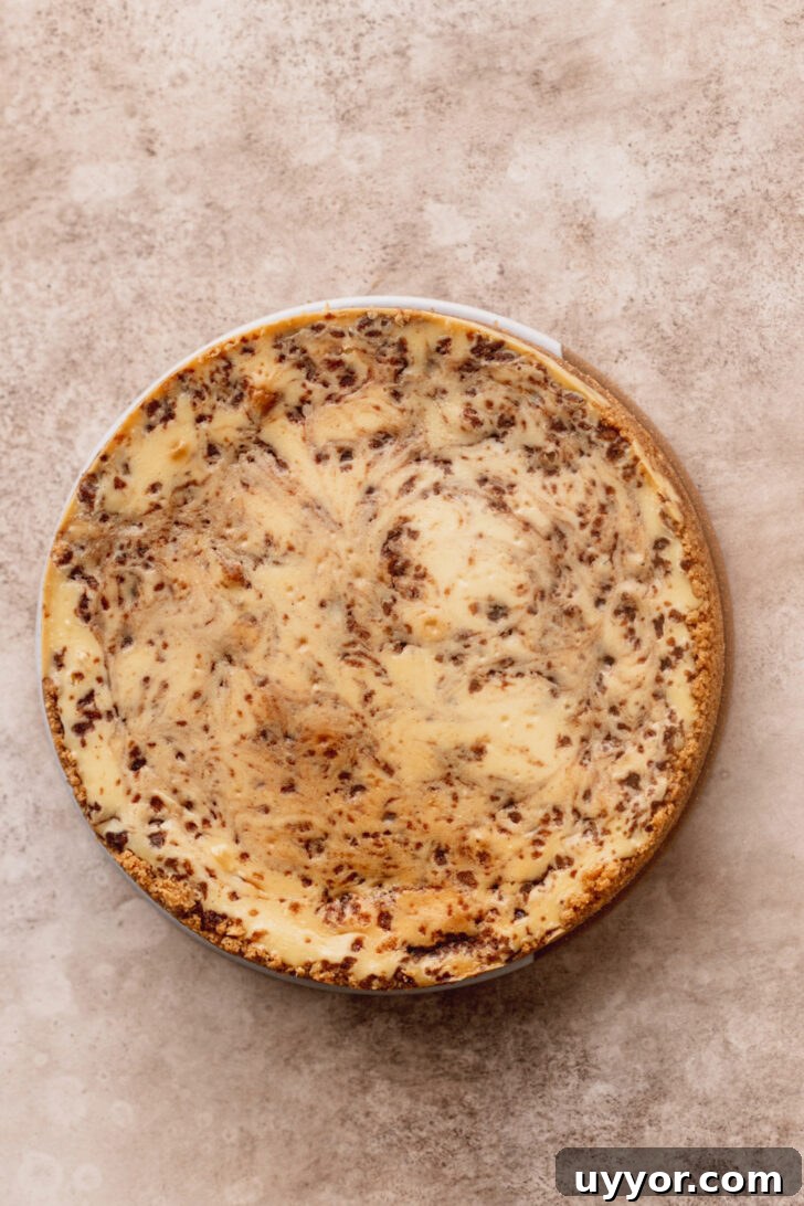 Cinnamon Roll Cheesecake Recipe: Swirled Cinnamon Cream Cheese Dessert 8 Baked cheesecake on a platter.