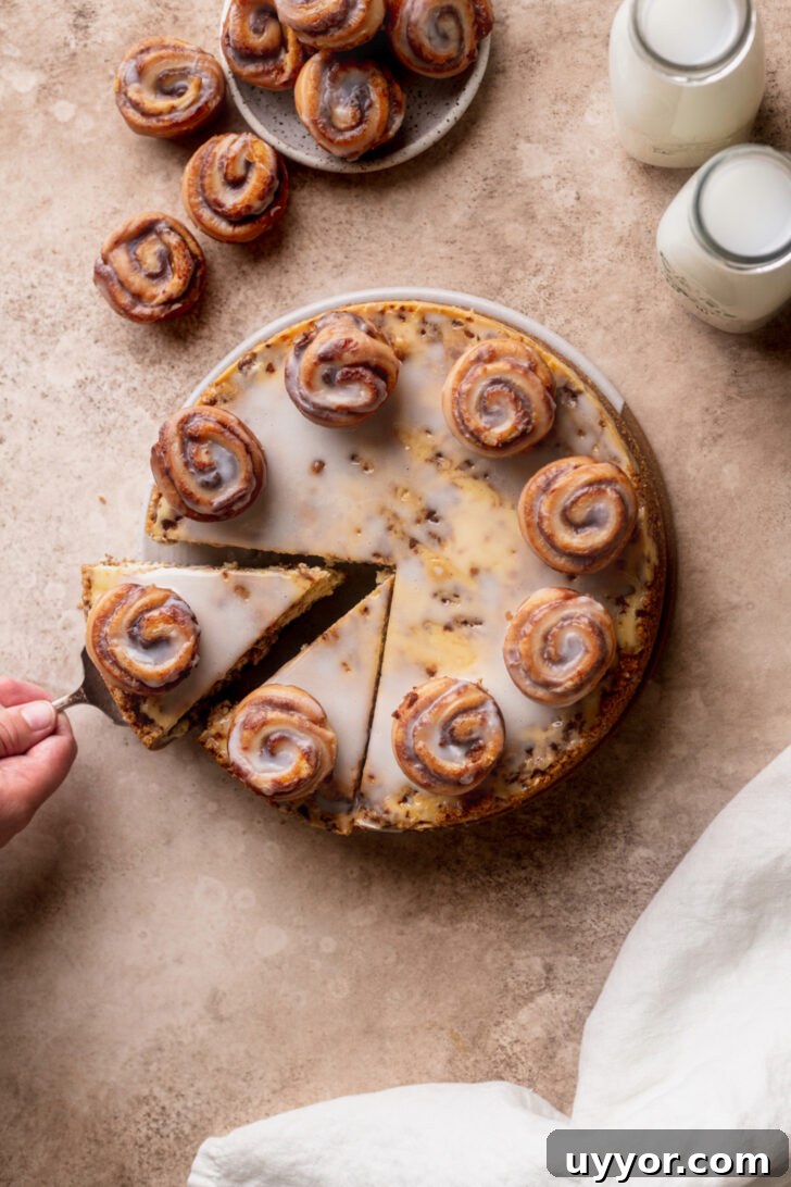 Cinnamon Roll Cheesecake Recipe: Swirled Cinnamon Cream Cheese Dessert 9 Top view of cinnamon roll cheesecake.