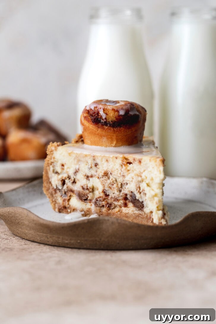 Cinnamon Roll Cheesecake Recipe: Swirled Cinnamon Cream Cheese Dessert 10 One slice on a plate.