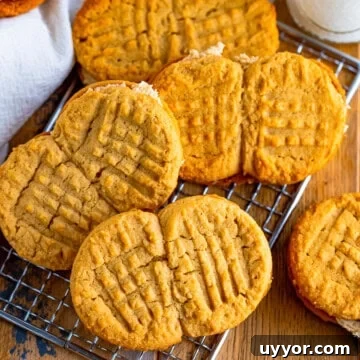 Homemade Nutter Butter Cookies: Chewy Peanut Butter Sandwich Cookies Recipe 10 img 63238 10