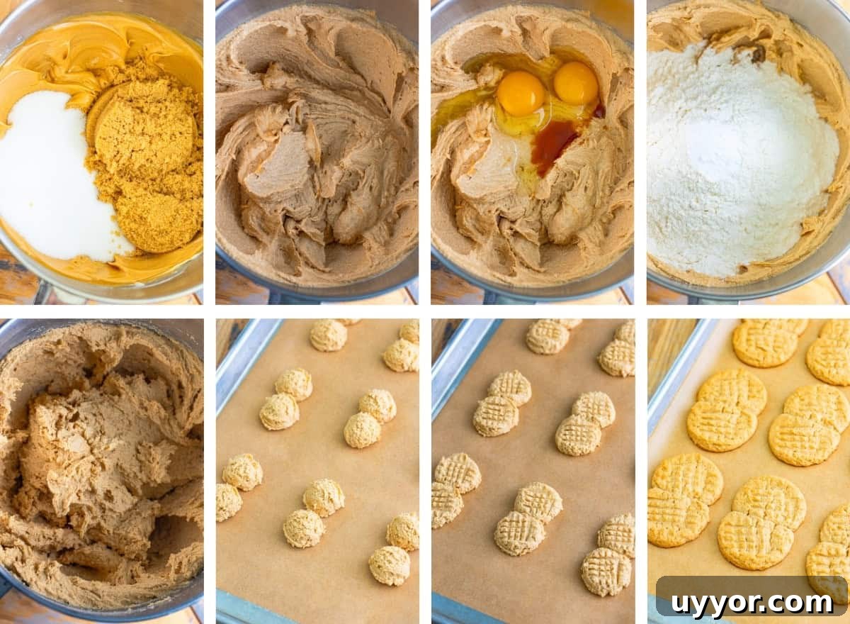 Homemade Nutter Butter Cookies: Chewy Peanut Butter Sandwich Cookies Recipe 5 how to make the cookies for Nutter Butter Cookies