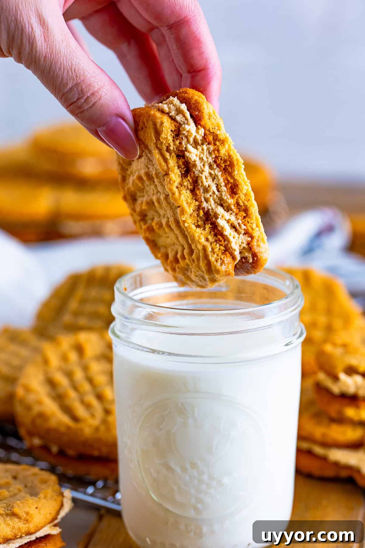 Homemade Nutter Butter Cookies: Chewy Peanut Butter Sandwich Cookies Recipe 9 a hand holding up half a Nutter Butter Cookies over a glass of milk
