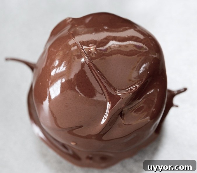 No-Bake Peanut Butter Balls Recipe — Quick 3-Ingredient Treat 2 Easy No Bake Peanut Butter Chocolate Truffle Balls (A.K.A Buckeyes).... so simple and delicious! You can't eat just one. Instrupix.com
