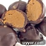No-Bake Peanut Butter Balls Recipe — Quick 3-Ingredient Treat 5 img 635 4