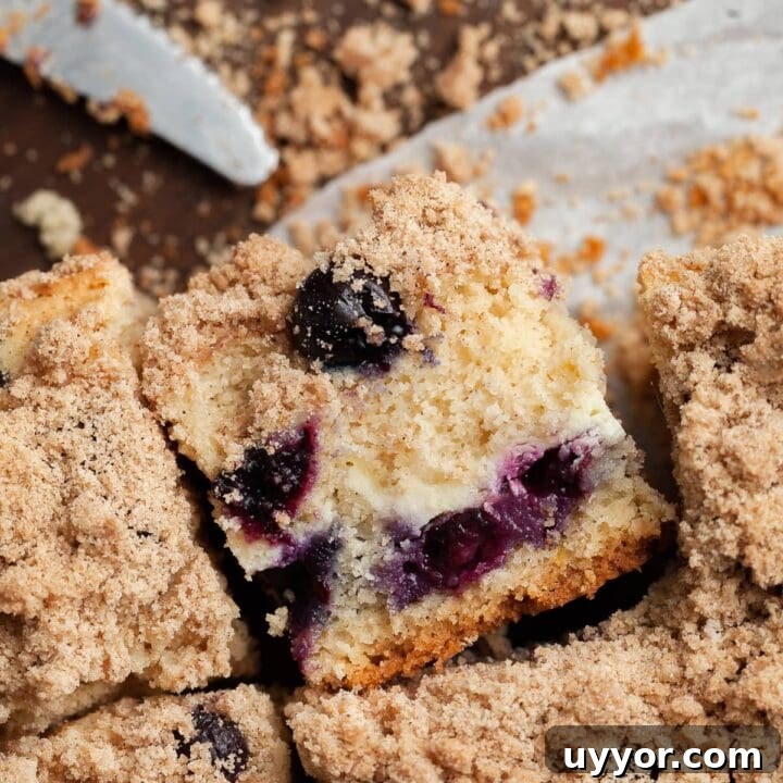 Indulge in the delightful taste of a homemade blueberry buckle - a classic dessert that combines tender cake infused with juicy blueberries and topped with a buttery, crumbly streusel.