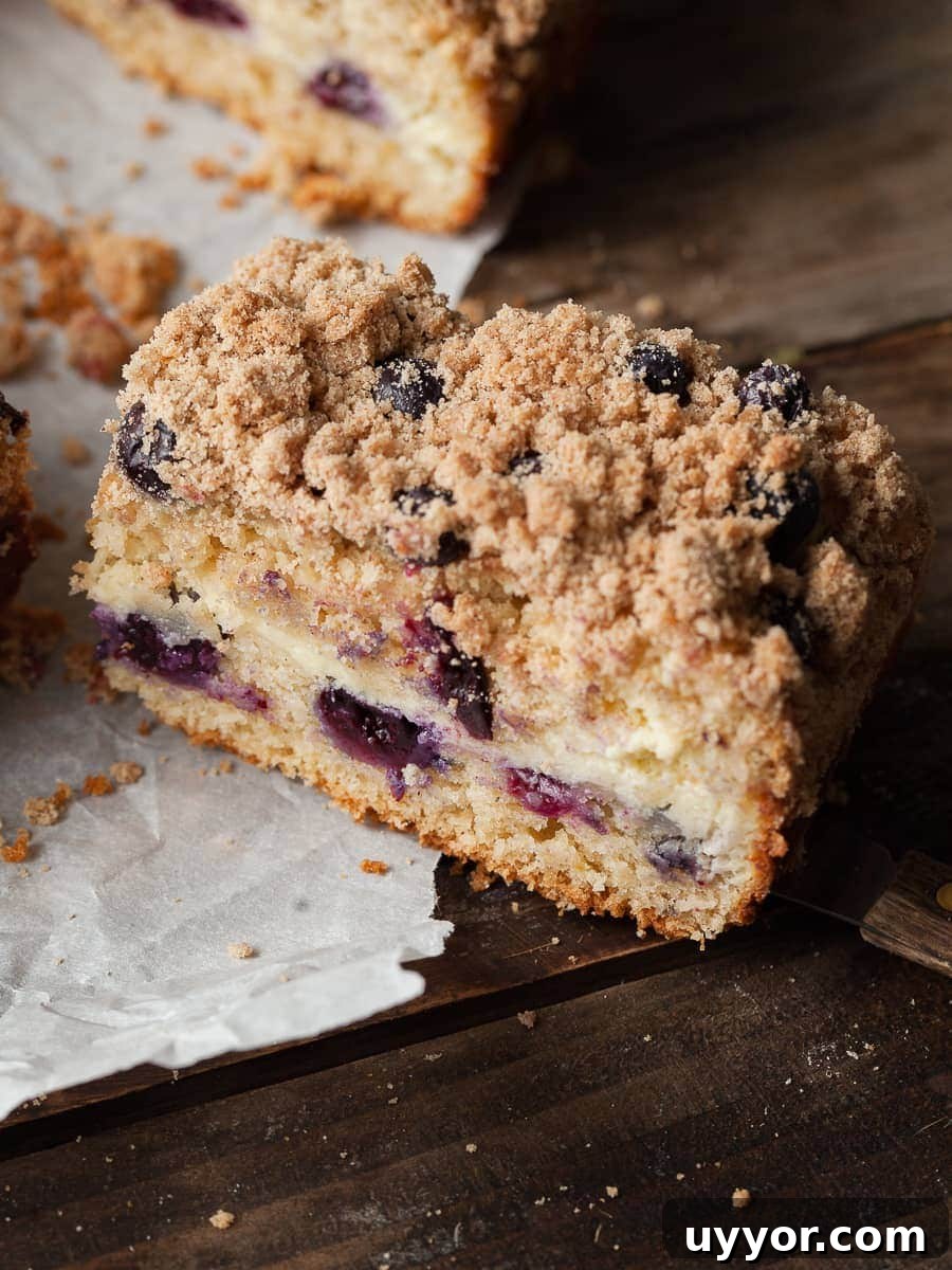 Gluten-Free Blueberry Buckle Recipe — Moist Summer Coffee Cake 7 img 636 6