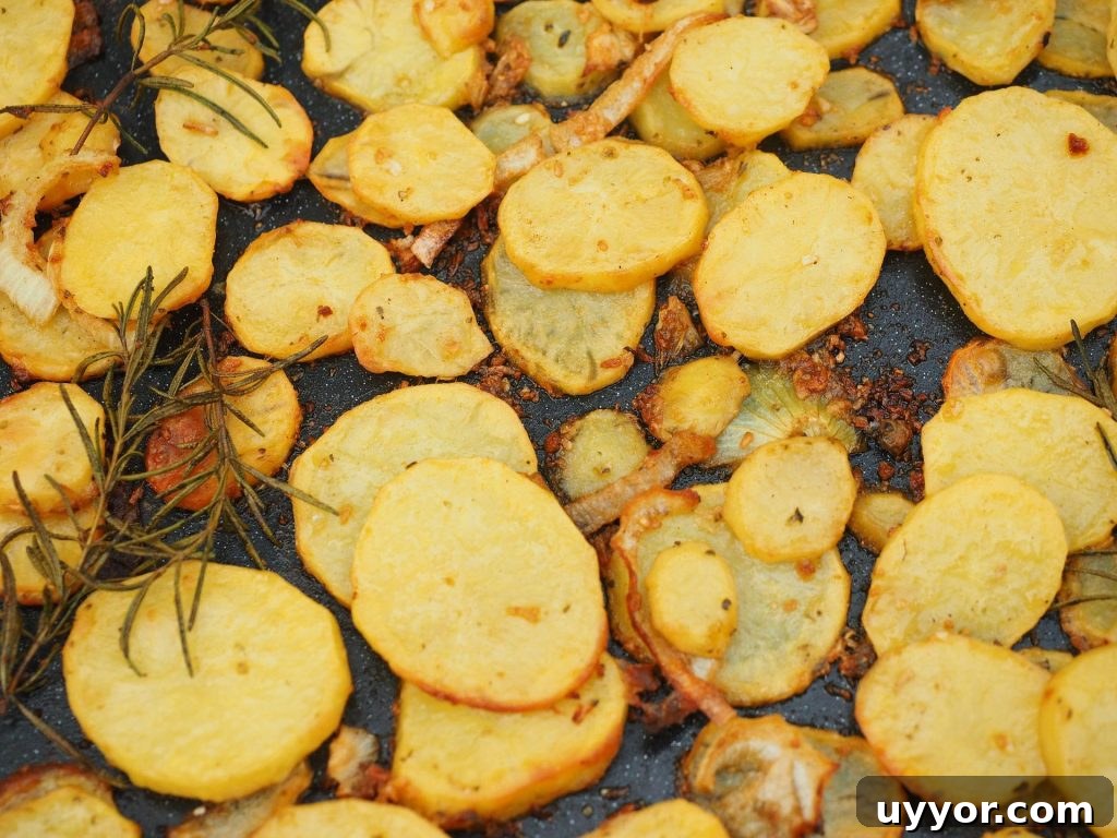 Crispy Air Fryer Sweet Potato Fritters Recipe 2 Air fryer Potato Slices