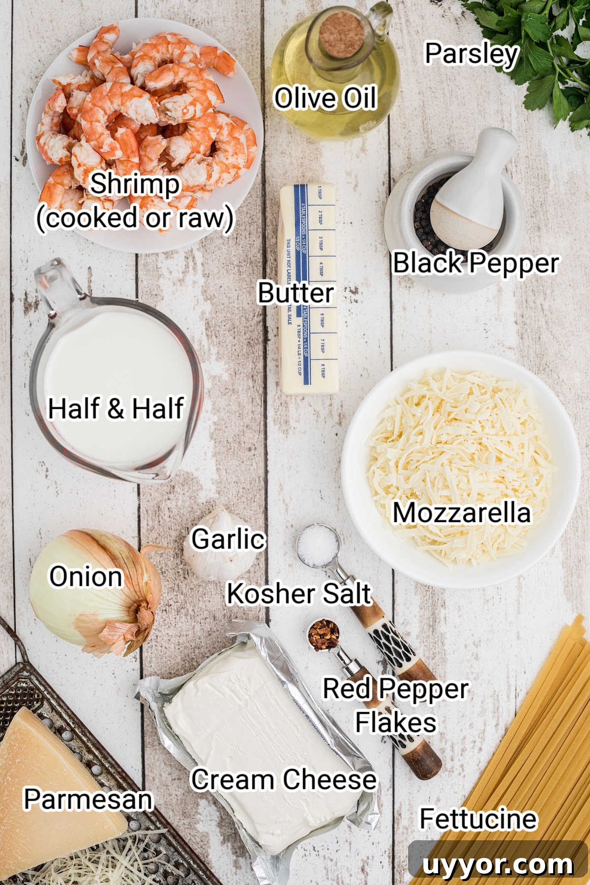 laid out ingredients that are in a shrimp alfredo bake with the names typed over