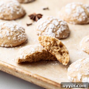 Chai-Spiced Crinkle Cookies Recipe for Cozy Homemade Treats 4 The interior of a soft fluffy chai spice crinkle cookie