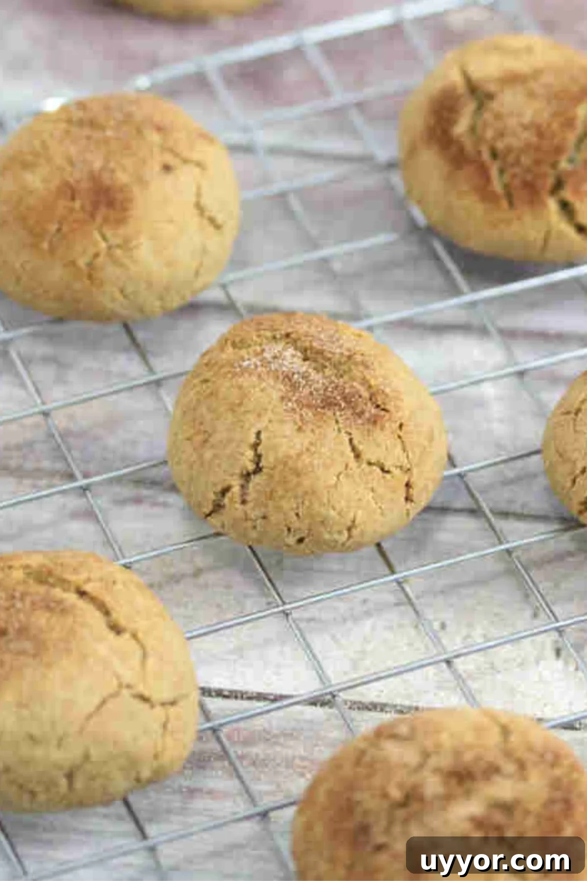 Close up of dairy-free protein cookies with cinnamon sugar on a cooling rack.
