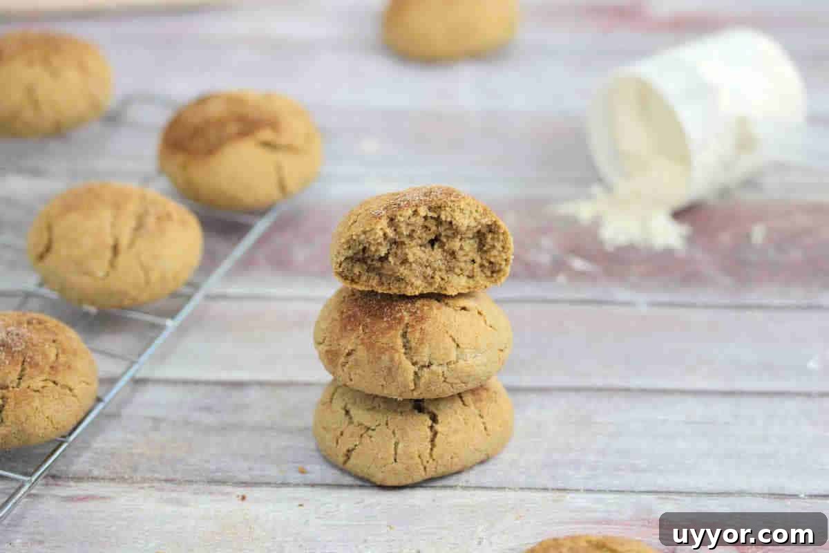 Three snickerdoodle protein cookies stacked with the top one having a bite out of it and more cookies behind it.