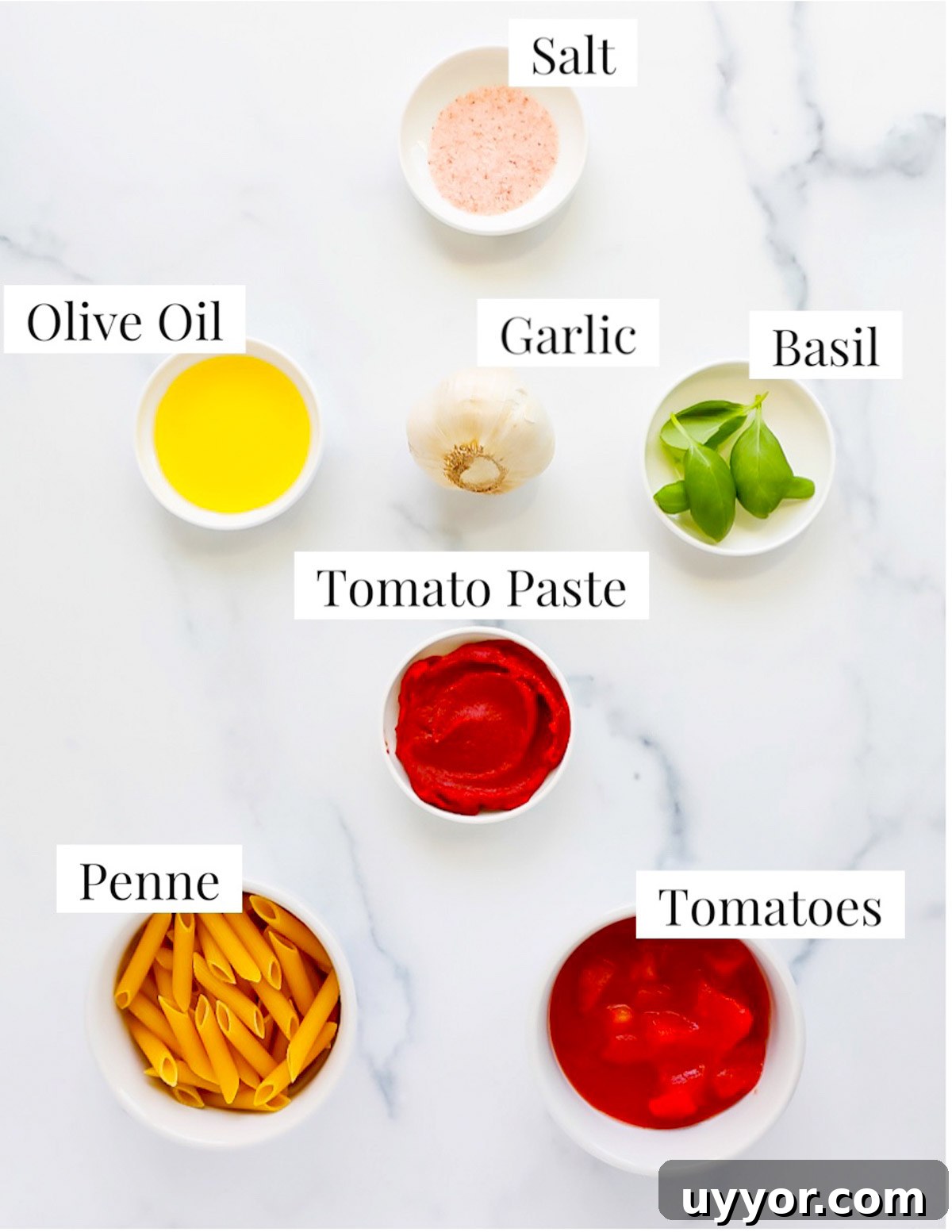 Labeled ingredients including: salt, olive oil, garlic, basil, tomato pasta, penne, and tomatoes