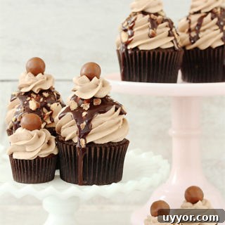 Double Chocolate Mocha Crunch Cupcakes