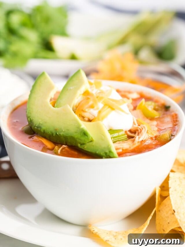 cropped-Tortilla-Soup-17-of-19.jpg