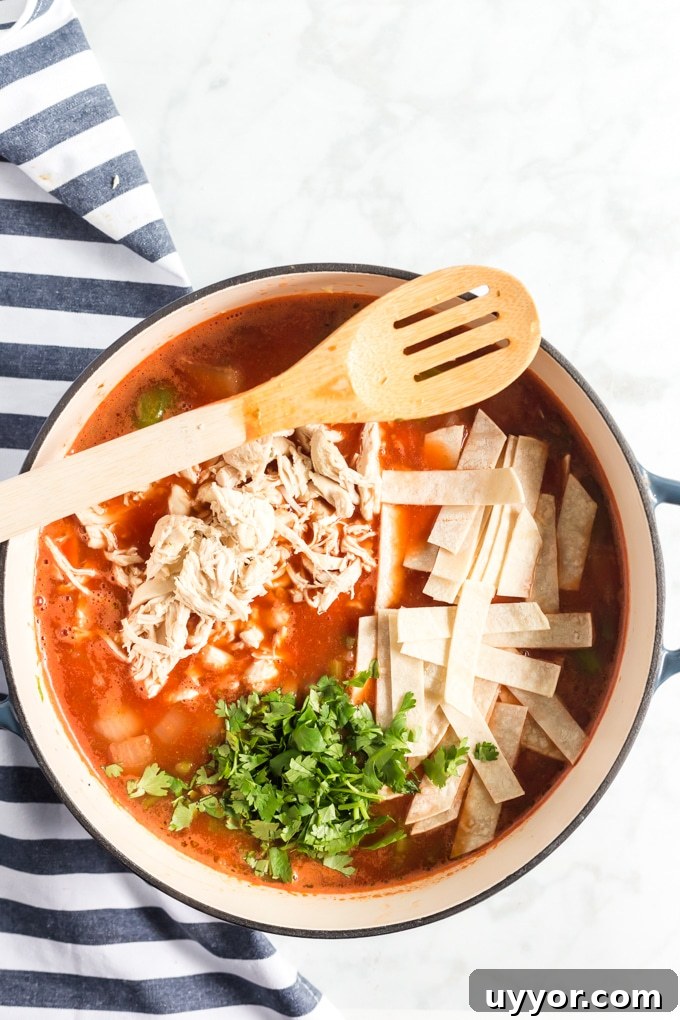 Tortilla Soup (8 of 19)