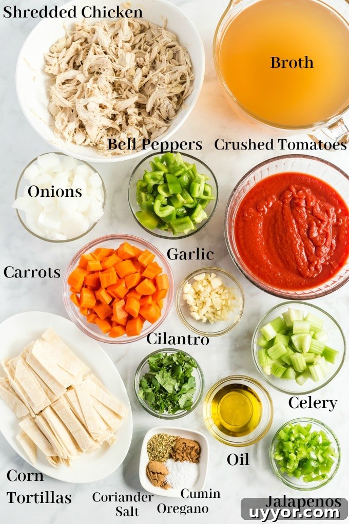 Chicken Tortilla Soup ingredients